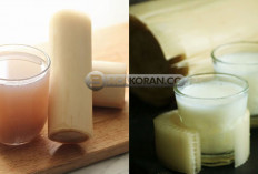 10 Manfaat Luar Biasa Batang Pohon Pisang untuk Kesehatan Anda, No.2 Banyak di Cari