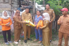 Harga Beras Premium Sudah Capai  Rp16.000 /Kg