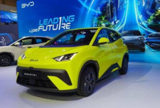 Terjangkau, Ini Alasan BYD Atto 1 Dijual Sangat Murah di Indonesia, VinFast Ungkap Begini! 