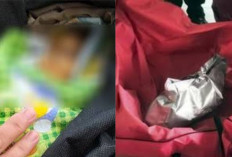 Miris, Mayat Bayi di Medan Dikirim Pakai Ojol Ternyata Hasil Hubungan Sedarah, Pelaku Berhasil Ditangkap!