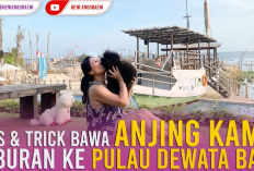 Info Ternak, 8 Tips Membawa Anjing Mudik Dengan Aman dan Nyaman Bagi Kamu Pencinta Hewan