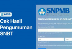 Jadwal dan Cara Cek Pengumuman Hasil SNBT 2025 dengan Klik Link Ini, Yuk Download Sertifikatnya!