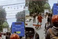 Viral! Bus TransJakarta Nyaris Tertabrak Kereta di Green Garden, Penumpang Panik Pecahkan Kaca
