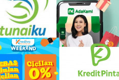 Siap-siap Dapat Dana Besar! 4 Pinjol Resmi OJK dengan Limit Awal Tinggi dan Tenor Panjang, Apa Saja?