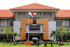 Mahasiswi Undana Kupang Diduga Depresi usai Sidang Skripsi Batal 12 Kali, Kampus Lakukan Investigasi
