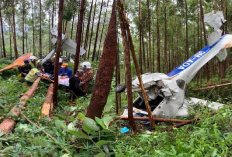 Viral! Pesawat Ringan Cessna 172N Skyhawk Jatuh di Hutan Felda Gunung Besout