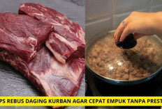 Wajib Tau Lurs! 4 Tips Merebus Daging Kurban Biar Cepat Empuk Nih, No Presto-presto Plus Hemat Gas Lho...