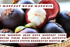 8 Manfaat Luar Biasa Buah Manggis untuk Kesehatan dan Kecantikan, Salah Satunya untuk Mental Lho..