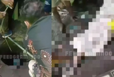 Hilang 12 Hari, Ternyata Wanita di Lombok Barat Tewas Dicor di Septic Tank oleh Pacarnya