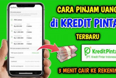 Bunga Terendah! Pinjaman Online Kredit Pintar Rp20 Juta untuk Modal Usaha, Begini Cara Pengajuannya...