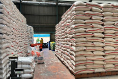 Bulog Pastikan Stok Beras Untuk 3 Kabupaten Ini Aman Hingga Akhir 2025, 