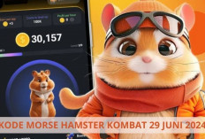 Buruan! Klaim Hadiah Harian Hamster Kombat, Kode Morse Hari ini 29 Juni 2024 Sudah Keluar, Cek Disini Gaes...