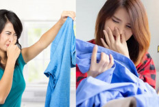 5 Cara Ampuh Hilangkan Bau Apek pada Pakaian Tanpa Dicuci, Praktis dan Efektif!