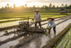 Cek! Ini Kriteria Petani yang Bakal Terima Tanah dan Alat Produksi Gratis dari Pemerintah