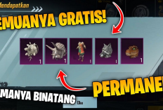Tanpa Top Up! Begini Cara Rahasia Dapetin Item Menarik di Game PUBG Mobile, Cuma Pakai Kode Redeem, Yuk Coba!