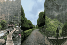 Bukan Cuma Lembang! Ini 3 Hidden Gem Bandung yang Cocok Buat Healing Seru Saat Weekend