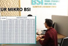 KUR Mikro BSI: Modal Usaha Syariah Tanpa Bunga, Cicilan Tetap & Transparan, Ini Syarat dan Cara Pengajuannya