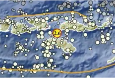Malam Bergetar! Gempa Terkini Tambolaka NTT Kedalaman 5 Km, Segini Magnitudonya