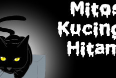 4 Mitos Kucing Hitam yang Dianggap Sebagai Hewan Pembawa Sial dan Jelmaan Jin, Benarkah?