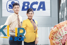 Cara Mengajukan KUR BCA 2025 Tanpa Agunan untuk UMKM, Cek Syarat & Proses Pengajuannya Disini!