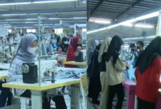 Mengapa Banyak Perusahaan Melakukan PHK? Simak Faktanya!