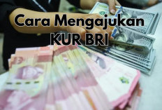 Cara Mengajukan KUR BRI Rp200 Juta, Cek Syarat, Tips agar Cepat Cair & dan Anti Gagal!