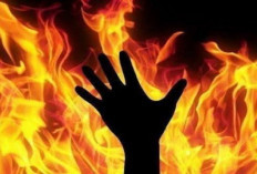 Tragis! Ketua Kelompok PNM Mekaar di Sumbar Tewas di Bakar Nasabah, Polisi Ungkap Motif Dipicu...