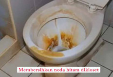 Dijamin clingg! Trik Ampuh Menghilangkan Noda Coklat di Pijakan Kloset Jongkok dengan Bahan Dapur yang Ajaib!