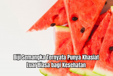 Seringkali Dibuang, Biji Semangka Ternyata Punya Khasiat Luar Biasa bagi Kesehatan Rambut hingga Jantung!