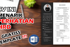 7 Tips Rahasia Bikin CV Kamu Dilirik Tim HRD, Yuk Intip Caranya Disini! Saatnya Stand Out Saat Melamar Kerja 