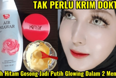 Cukup Rp10 Ribu Bisa Glowing Ala Artis Korea Dengan Pakai Bedak Kelly, Gimana? Yuk Simak Penjelasannya