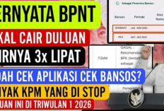 Cek Sekarang! BPNT 2026 Cair Duluan 3x Lipat, Tapi Banyak KPM yang Dibekukan di Aplikasi Cek Bansos
