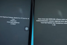Nomor HP Asing Terdaftar di NIK Kamu? Begini Cara Menghapusnya Untuk Semua Operator