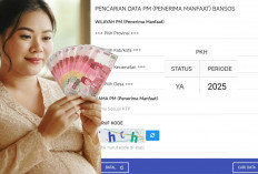 Bakal Cair Lagi? Ini Cara Cek Status Penerima Bansos PKH 2025 Tahap 2 Secara Online: Jangan Sampai Kelewat