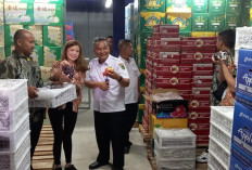 Dikenal Sentra Duku Terbesar di Indonesia, Belum Ada Buah Sumsel di Ekspor, Ini Alasannya