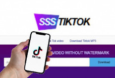 SSSTikTok: Rahasia Unduh Video TikTok Tanpa Tanda Air, Gratis dan Gampang Banget!