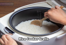 Solusi Energi Efisien dan Dampak Terhadap Penyerapan Anggaran Kementerian ESDM