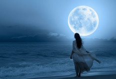 Catat! Jadwal dan Cara Melihat Supermoon 5 November 2025 yang Bisa Disaksikan di Seluruh Indonesia