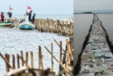 Nelayan Kecewa, Pagar Laut di Tangerang Belum Semuanya Tercabut: di Kohod Belum Selesai 