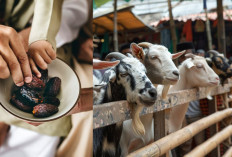 Bolehkah Puasa Sebelum Idul Adha Tidak 9 Hari Penuh? Simak Penjelasannya Sebelum Keliru!