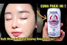 3 Rahasia Memutihkan Kulit Dengan Susu Beruang Bikin Glowing Dalam Semalam, Yuk Cobain!