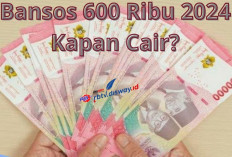 Alhamdulillah, Bansos BLT Bulan April-Juni Sebesar Rp600 Ribu Sudah Dapat Dicairkan Kembali, Begini Caranya...