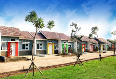 Mau Kredit Rumah? Lakukan Ini Dulu Agar Tidak Terjebak Kredit Macet dan Rumah Disita Bank
