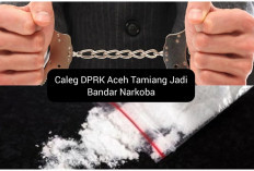 Buset, Caleg DPRK Aceh Tamiang Jadi Bandar Narkoba Jenis Sabu 70 Kg, Berapa Duit Tuh?
