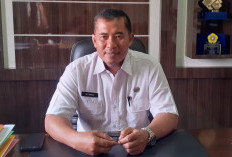 Dilamar Ribuan Honorer, Ternyata 22 Nakes yang Lolos PPPK  Tak Memenuhi Syarat Masa Kerja, Ini Tindakan BKPSDM