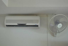 AC vs Kipas Angin: Manakah yang Lebih Baik untuk Kesehatan, Cek 6 Fakta di Sini!