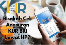 Bisakah Cek Angsuran KUR BRI Lewat HP? Ini Cara Praktisnya