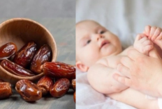 Manfaat Kurma bagi Bayi! 8 Kelebihan dari Perkembangan Otak hingga Atasi Sembelit & Demam
