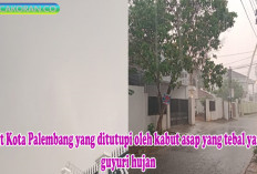 Warga Palembang Sumringah, Hujan Lebat Akhirnya Turun, Berharap Asap Segera Hilang