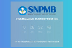 SELAMAT! Ini 41 LINK Hasil Pengumuman UTBK SNBT 2024, Berikut Cara Download Sertifikatnya...
